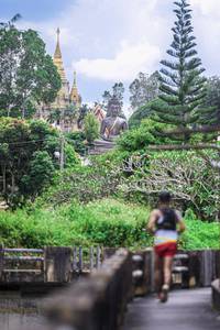 BIB: 
                            <button type="button" onclick="openModal(21898100)" class="btn btn-primary btn-sm float-right btn-popup" data-toggle="modal" data-target=".modal-high-quality">
                        <i class="fas fa-shopping-cart"></i> Add to Cart
                    </button>
                                            <button type="button" onclick="isThisMe(21898100, true)" class="btn btn-success btn-sm float-right btn-popup btn-isme hidden" data-toggle="tooltip" data-placement="bottom" title="นี่คือรูปของคุณใช่ไหม คลิกที่นี่เพื่อเอาเข้าอัลบั้ม">
                        <i class="fas fa-plus"></i> Add to album
                    </button>
                    <button type="button" onclick="isThisMe(21898100, false)" class="btn btn-warning btn-sm float-right btn-popup btn-isnotme hidden">
                        <i class="fas fa-ban"></i> Remove from album
                    </button>